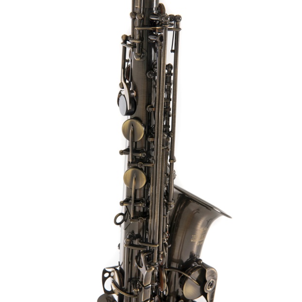 Eb-Alto Saxophone Roy Benson AS-202A