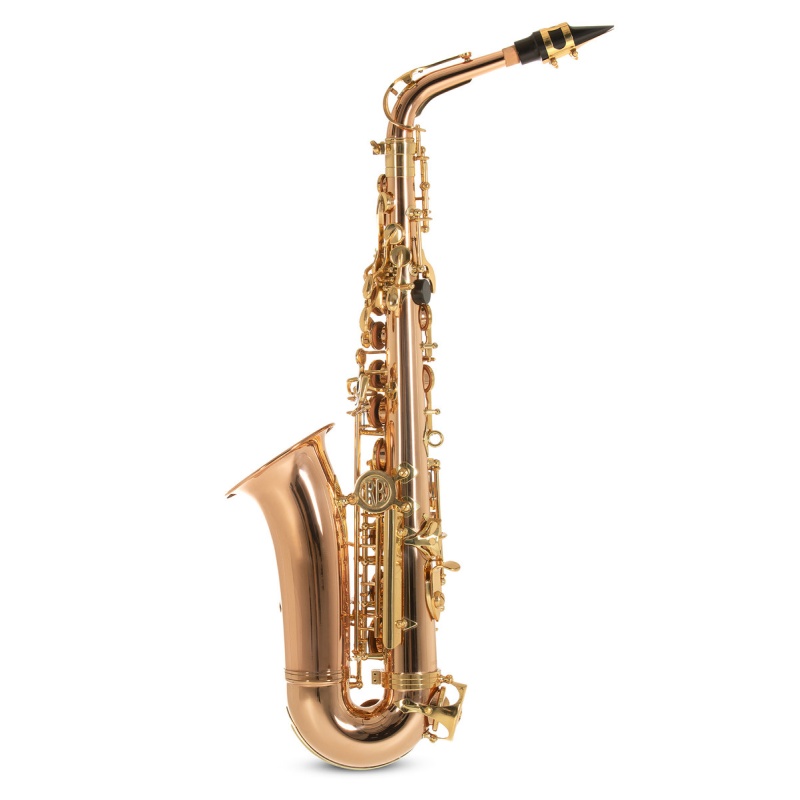 Eb-Alto Saxophone Roy Benson AS202G