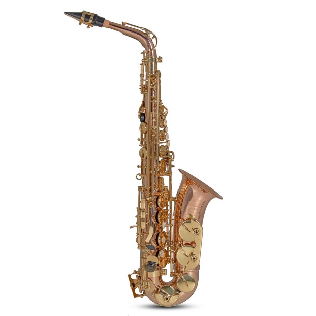 Eb-Alto Saxophone Roy Benson AS202G