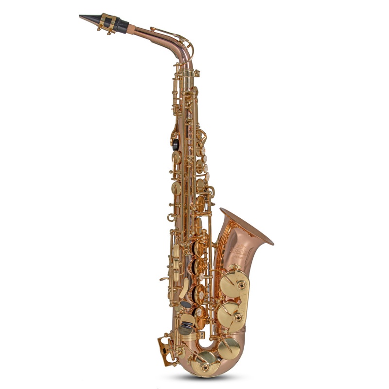 Eb-Alto Saxophone Roy Benson AS202G
