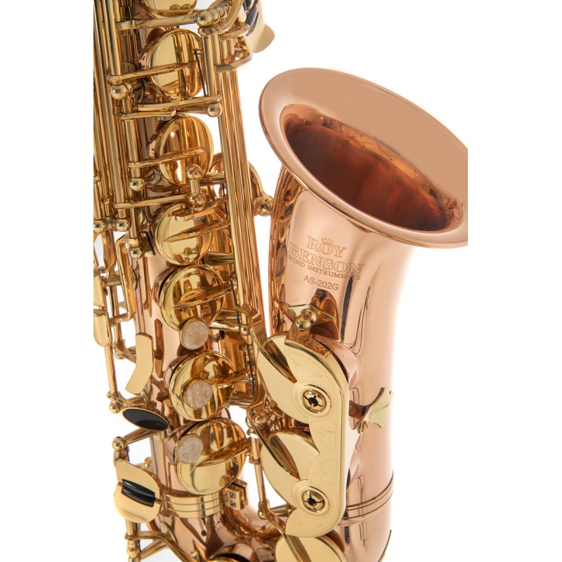 Eb-Alto Saxophone Roy Benson AS202G
