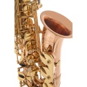 Eb-Alto Saxophone Roy Benson AS202G