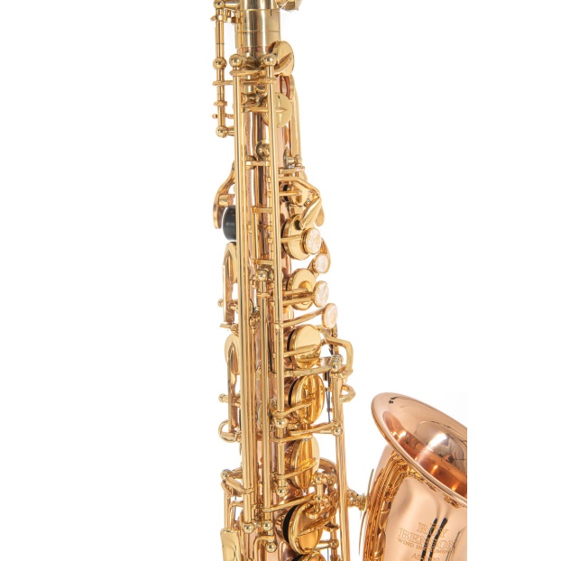 Eb-Alto Saxophone Roy Benson AS202G