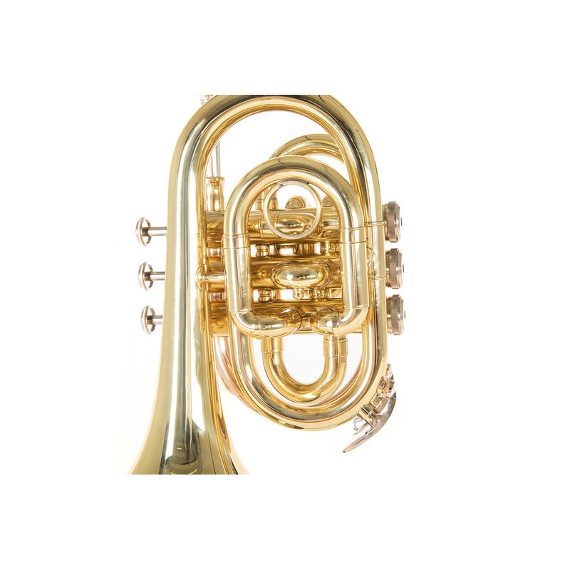 Bb-Pocket trumpet Roy Benson PT-101
