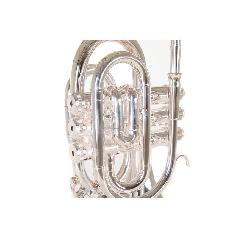 Bb-Pocket trumpet Roy Benson PT-101S