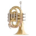 Bb-Pocket trumpet Roy Benson PT-302
