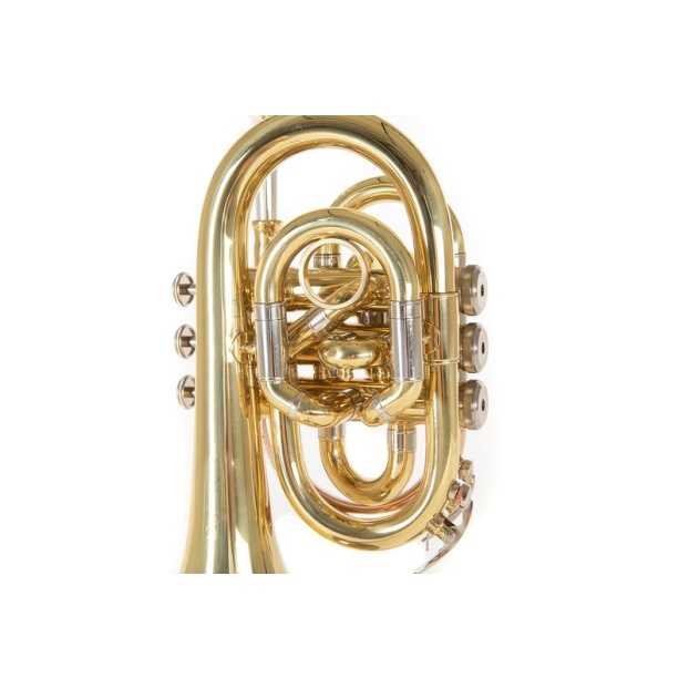 Bb-Pocket trumpet Roy Benson PT-302