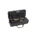 Bb-Trumpet Roy Benson TR-101K
