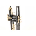 Bb-Trumpet Roy Benson TR-101K