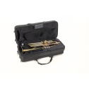Bb-Trumpet Roy Benson TR-202