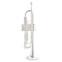 Bb-Trumpet Roy Benson TR-202S