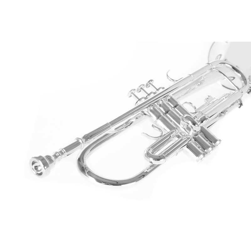 Bb-Trumpet Roy Benson TR-202S