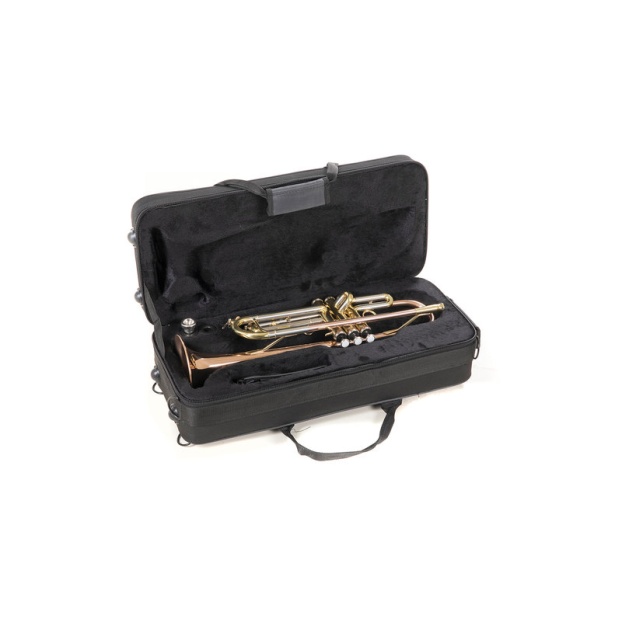 Bb-Trumpet Roy Benson TR-202G