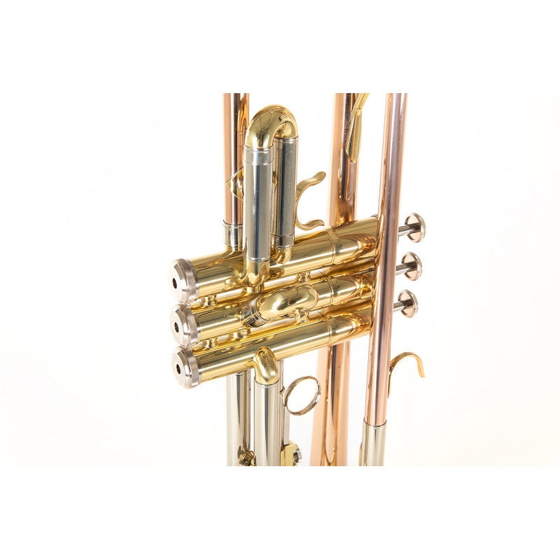 Bb-Trumpet Roy Benson TR-202G