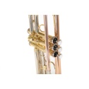 Bb-Trumpet Roy Benson TR-202G