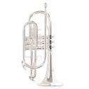 Bb-Cornet Roy Benson CR-202S