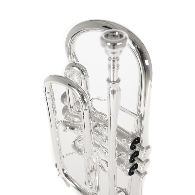 Bb-Cornet Roy Benson CR-202S