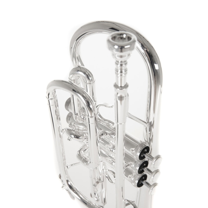 Bb-Cornet Roy Benson CR-202S