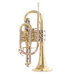 Bb-Cornet Roy Benson CR-302