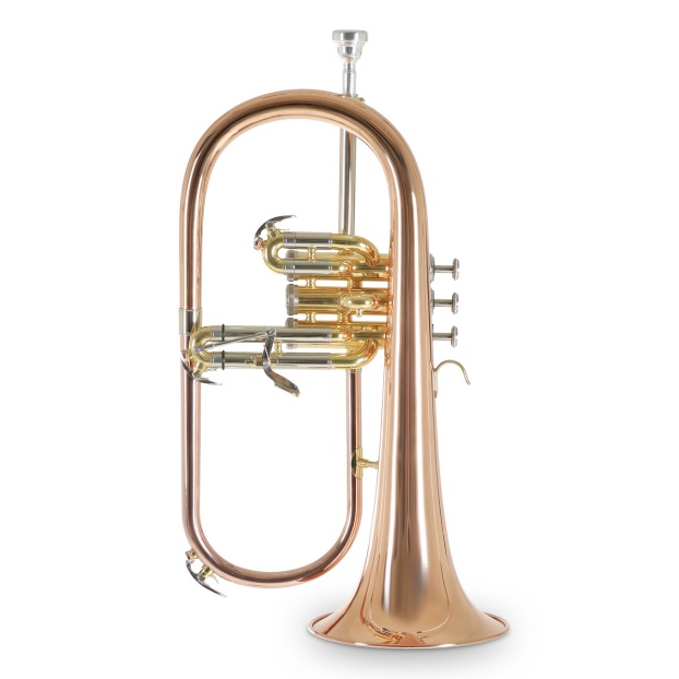 Bb-Flugelhorn Roy Benson FH-302G