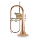 Bb-Flugelhorn Roy Benson FH-302G