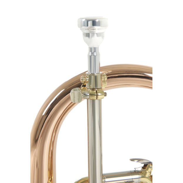Bb-Flugelhorn Roy Benson FH-302G