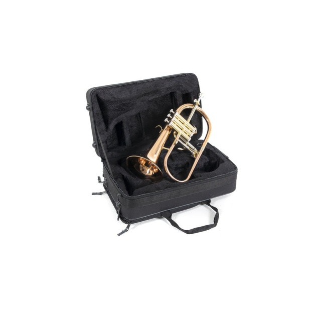 Bb-Flugelhorn Roy Benson FH-302G