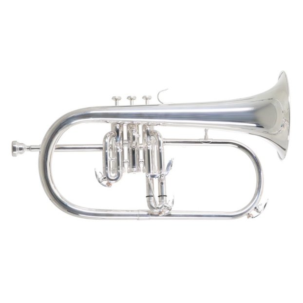 Bb флюгельгорн Roy Benson FH-302S