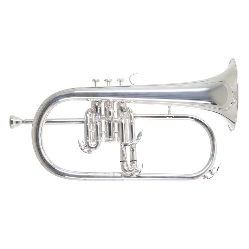 Bb флюгельгорн Roy Benson FH-302S
