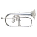 Bb флюгельгорн Roy Benson FH-302S