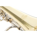 Bb/C-Trombone for children Roy Benson TT-220