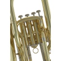 Bb-Euphonium Roy Benson EP-303