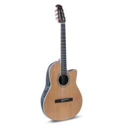 E-Austiline klassikaline kitarr Celebrity CS Standard Mid Cutaway
