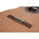 Klassikaline kitarr Student Cedar