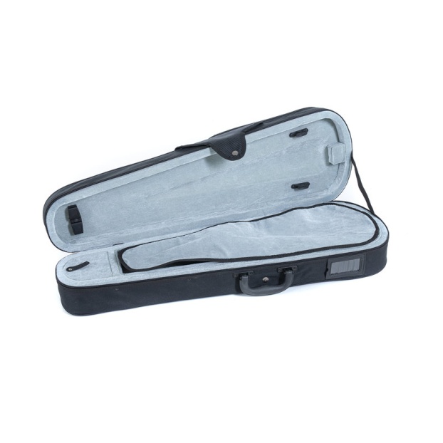 Скрипичный маэстро 2