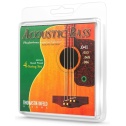 Strings for acoustic bass Phosphor Bronze
