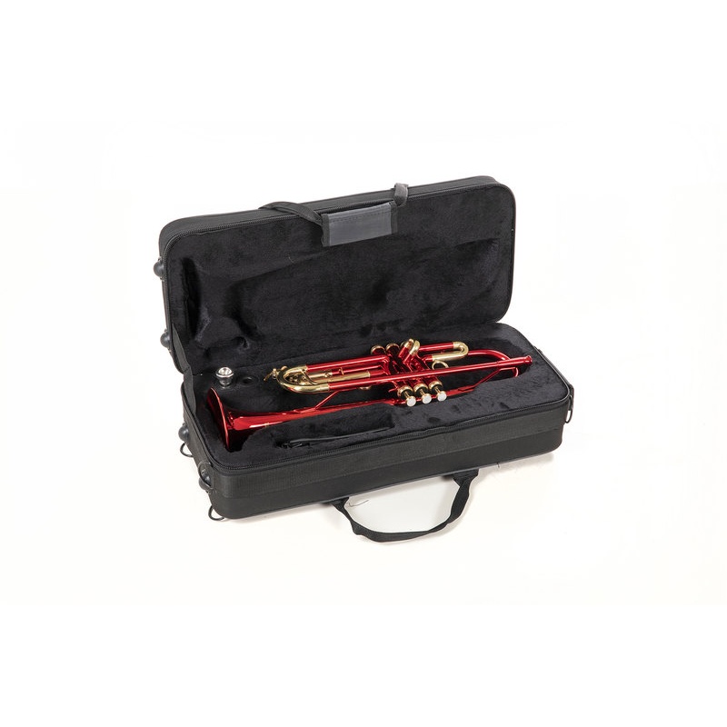 Bb-Trumpet Roy Benson TR-101R