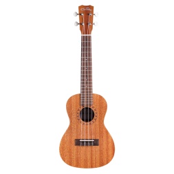 Ukulele Player Pack Concert w/Travel Bag