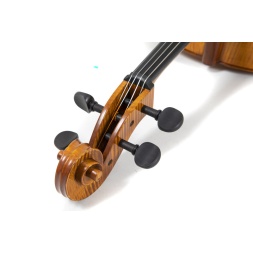 Concert cello Georg Walther