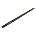 Pennywhistle