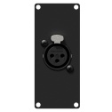 CASY 1 место с гнездом XLR с 3-контактным клеммным блоком Черная версия