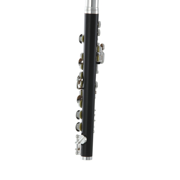 Piccolo flute Roy Benson PC-502