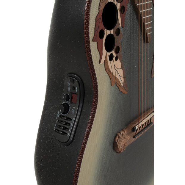 E-Acoustic Guitar 1687GT Deep Non-Cutaway