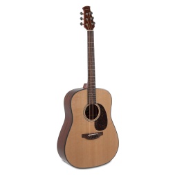 Acoustic Guitar Wood Classics AAD96-4 Natural Gloss