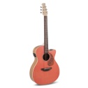 E-Acoustic Guitar Jump OM Cutaway Electro