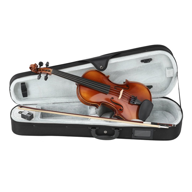 Юбилей скрипки