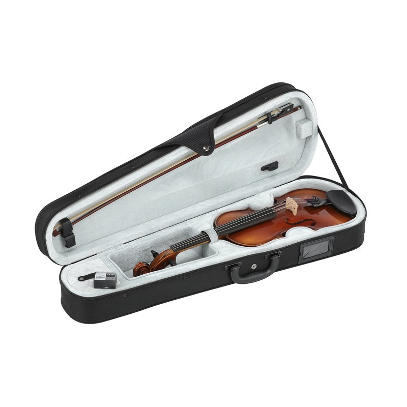 Юбилей скрипки