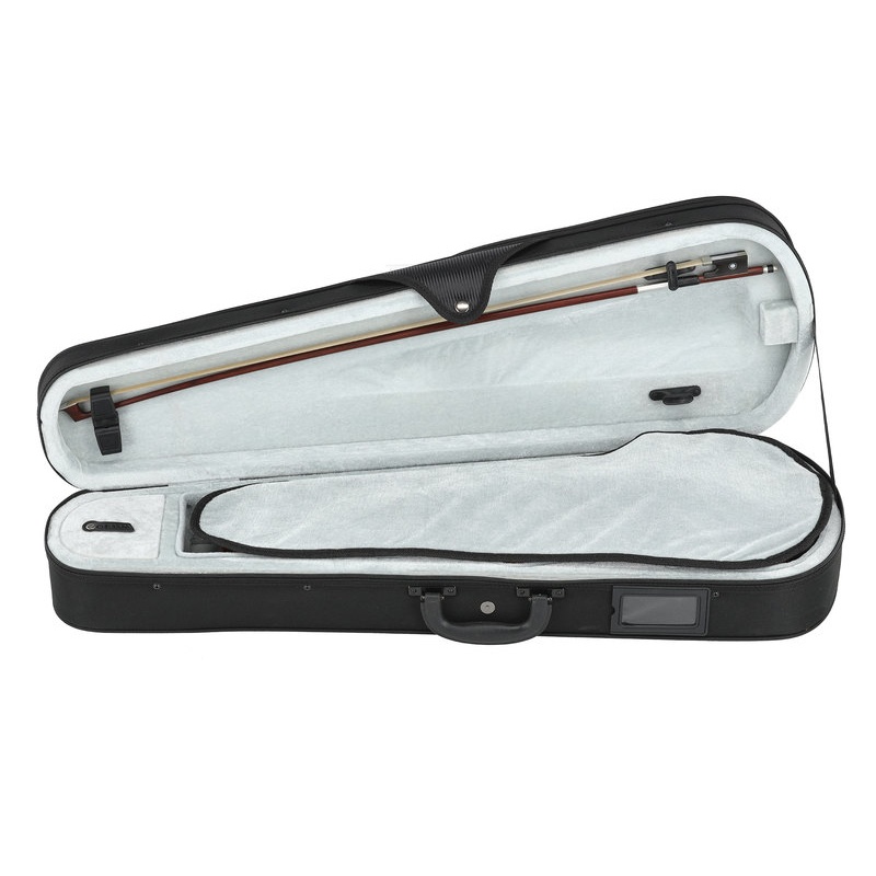 Юбилей скрипки