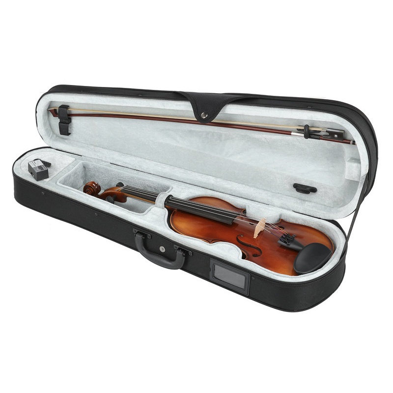 Юбилей скрипки