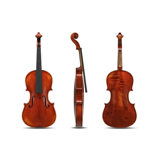 Violin Europa Maestro